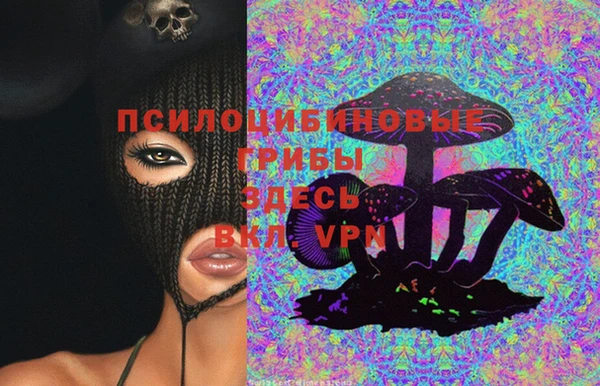 стафф Абаза
